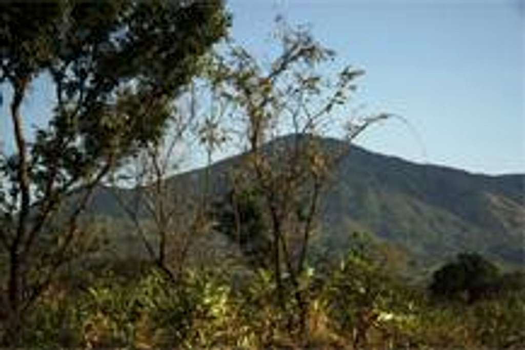 Gorongosa
