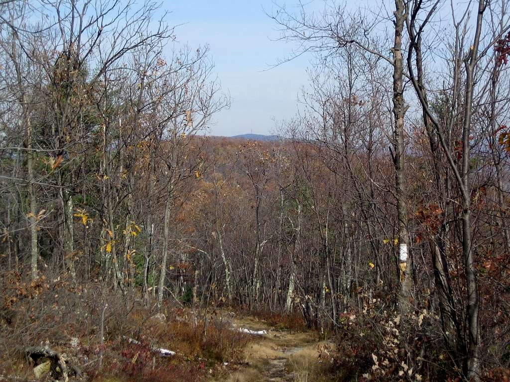 the fire tower off in the distance