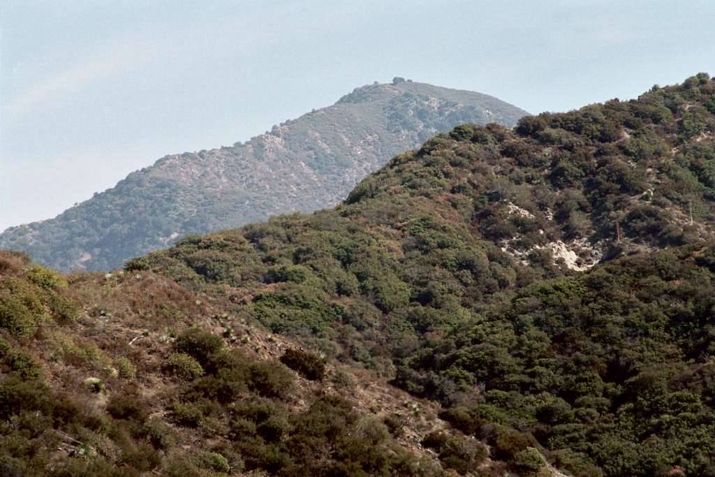 Mt. Lawlor (5,957'), San Gabriel Mtns.