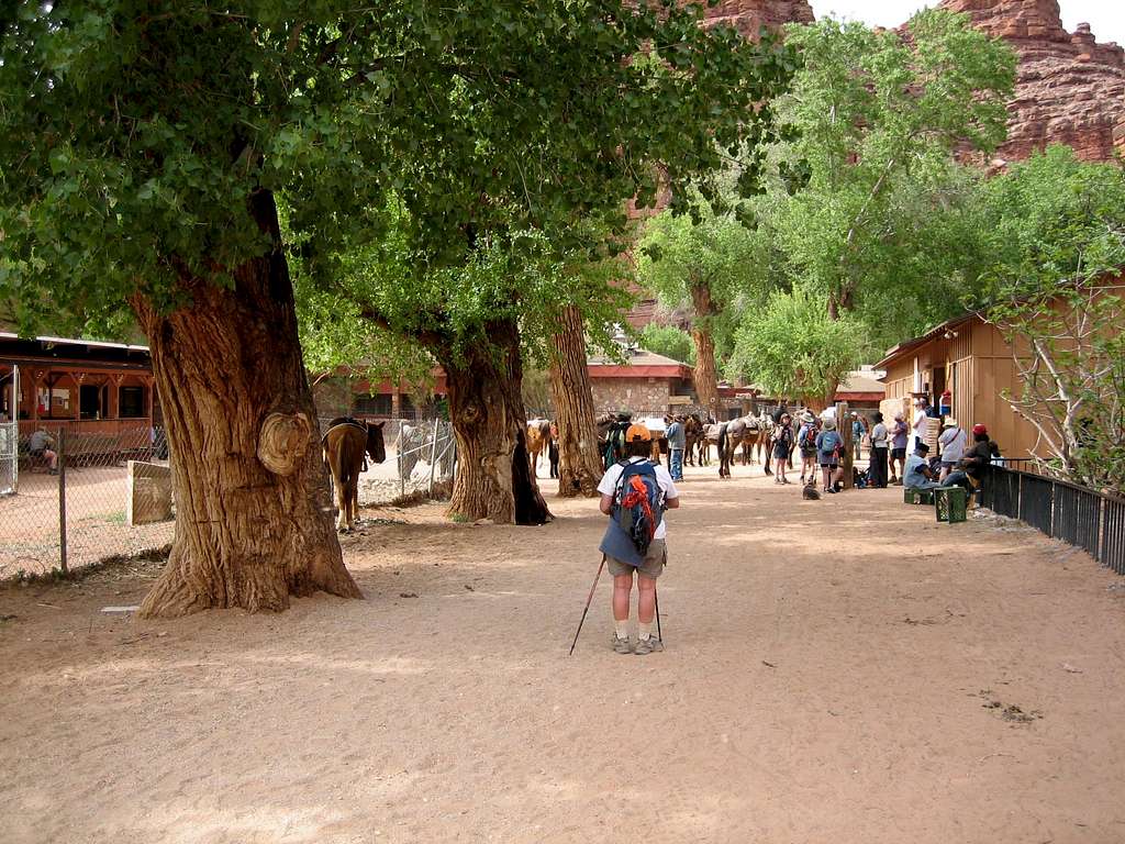 Supai Village