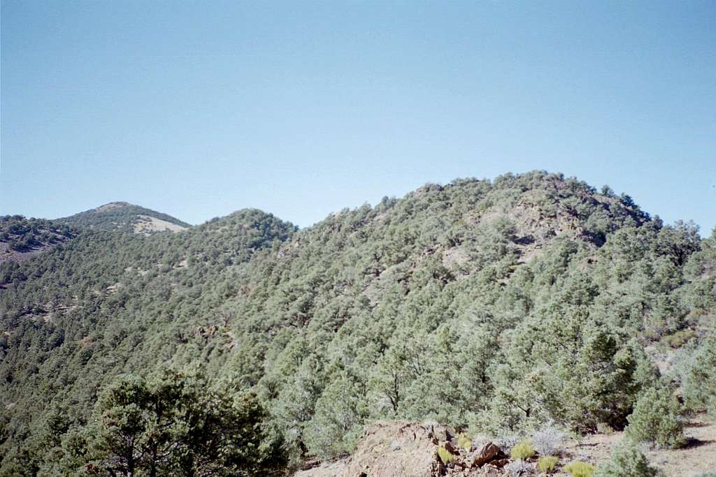 Grapevine Peak