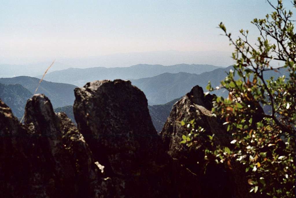 View West from Mt. Lawlor's West Ridge