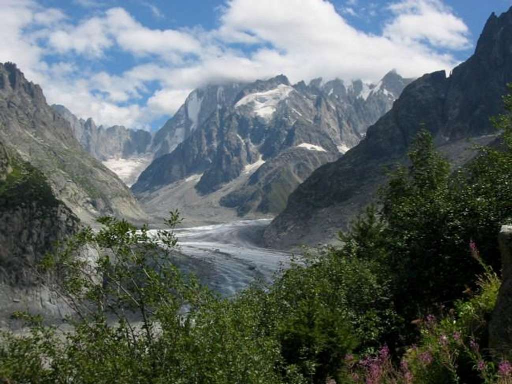 Grandes Jorasses and Mer de...