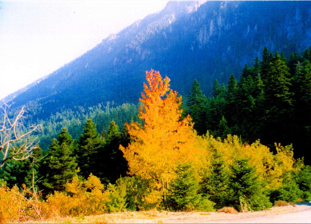 Fall colours at the northern slopes of Giona