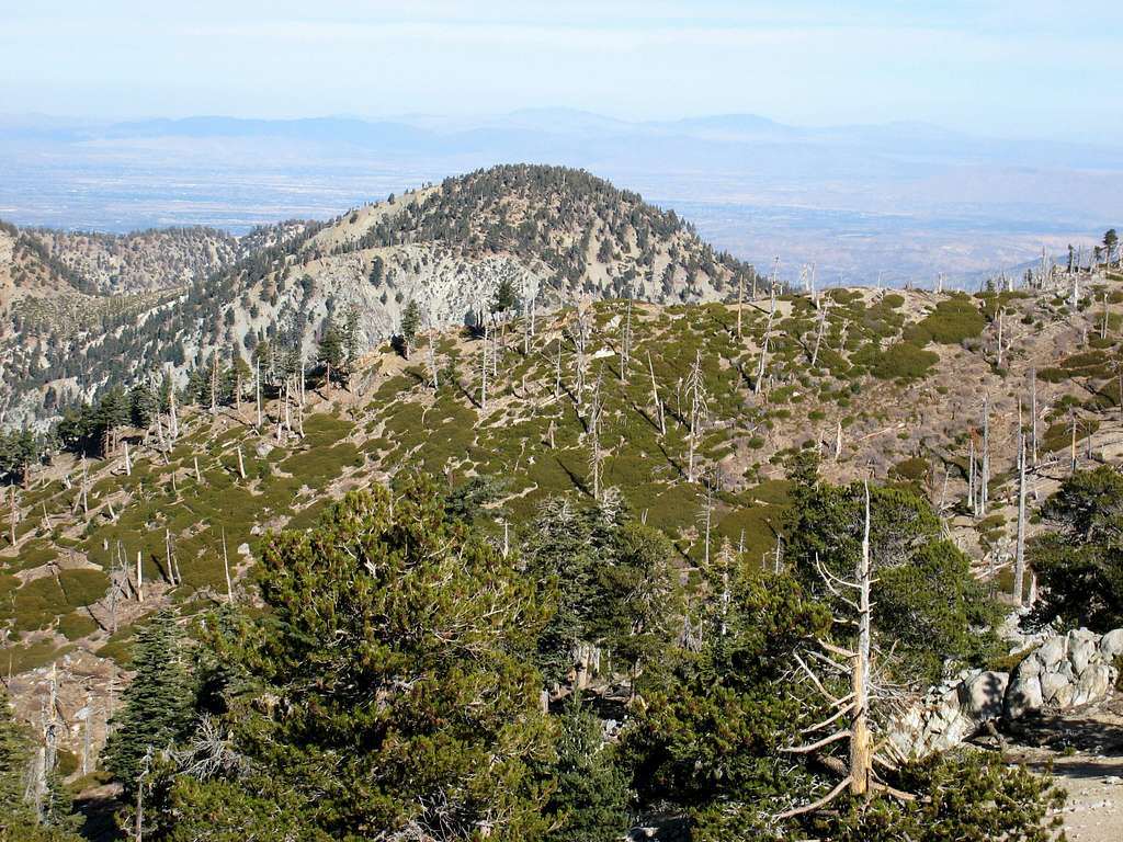 Big Horn Pk (8,441') from summit of Ontario Pk