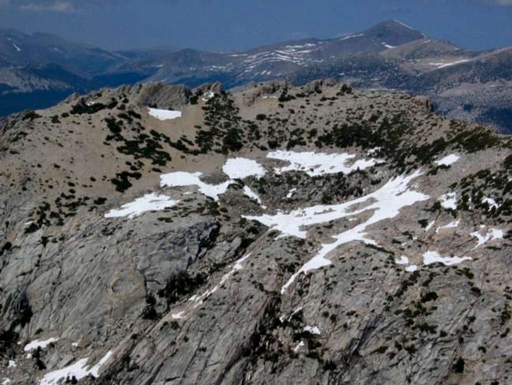 Fletcher Peak summit area...