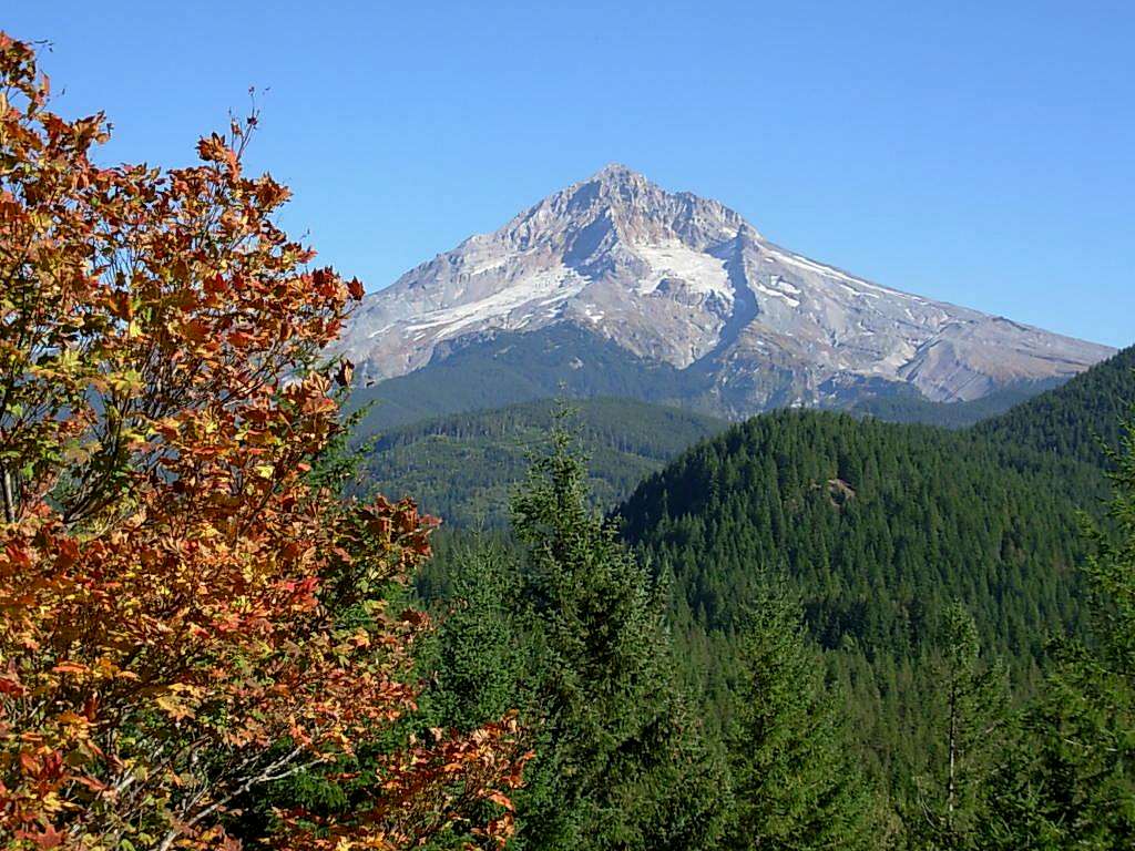 Mt Hood from lolo pass road