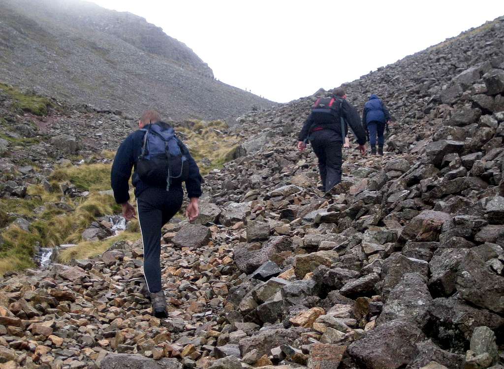 Grinding their way up the scree.