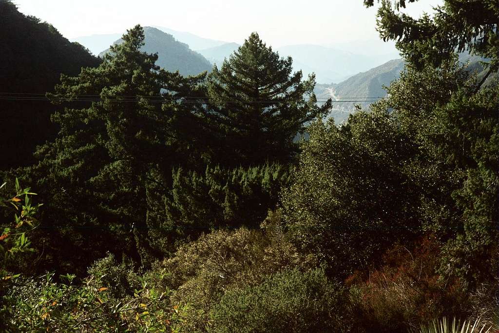 Looking from Red Box to Clear Creek