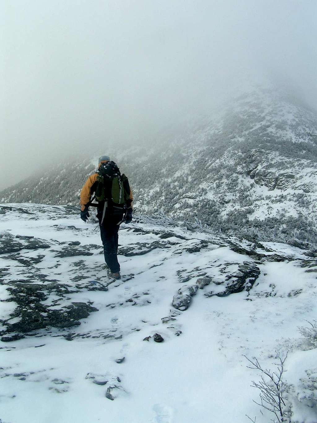 Rasgoat rambles on over the Adam's apple to the Chin summit of Mount Mansfeild near Stowe, Vermont.