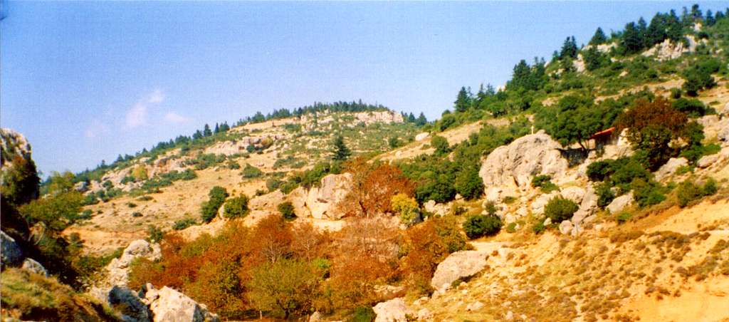 SE slopes of Giona near the road that connects Amfissa with Viniani