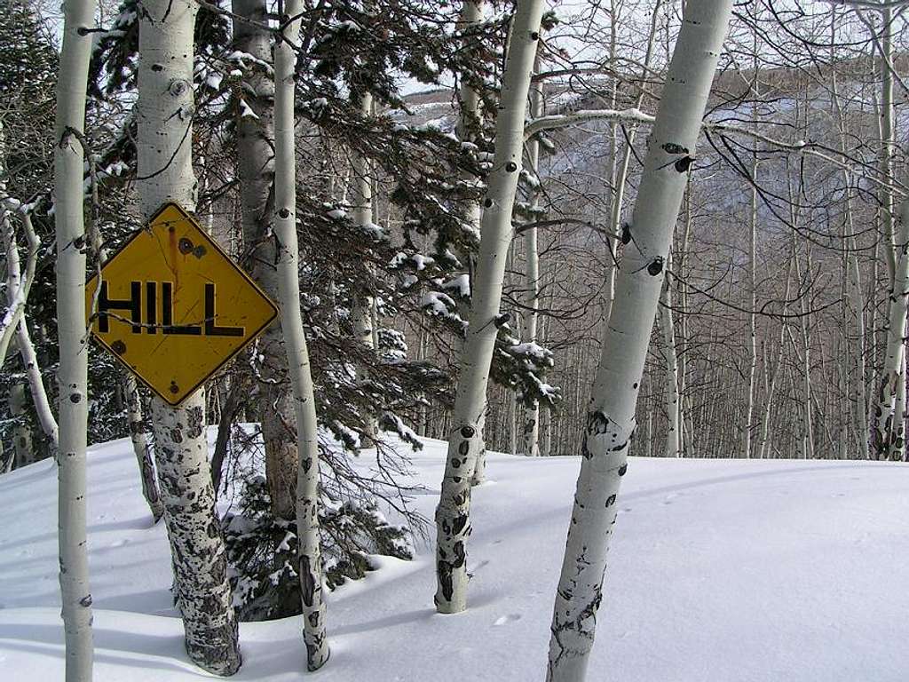 Hill Run Sign