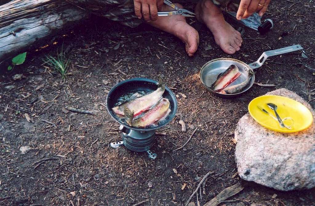Fish for Dinner