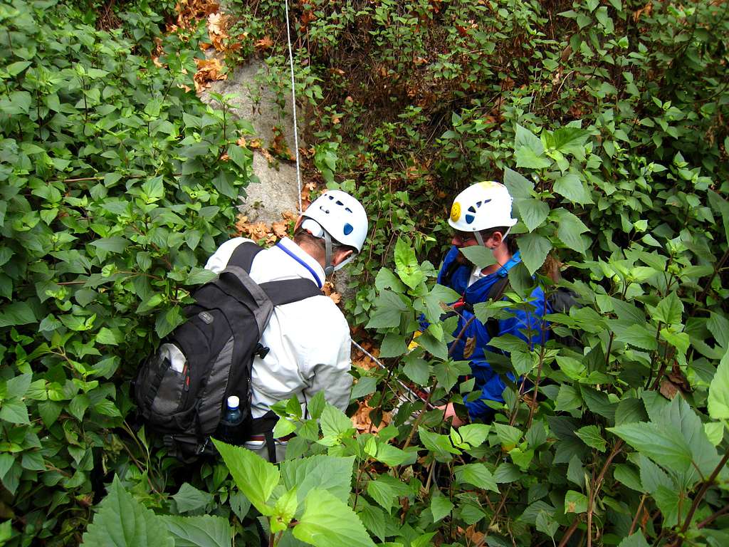 Pulling in the Rappel Rope in Abundant Shrubbery