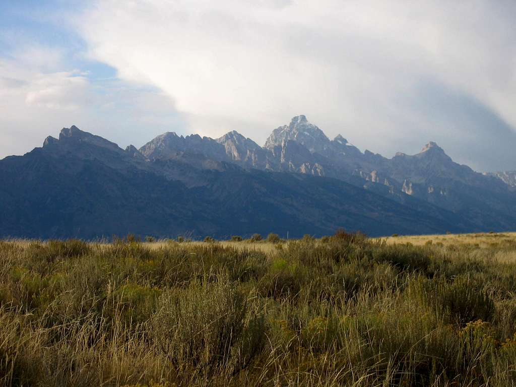 Tetons and Grass