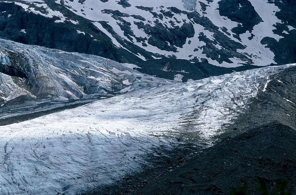 Pers and Morteratsch Glacier