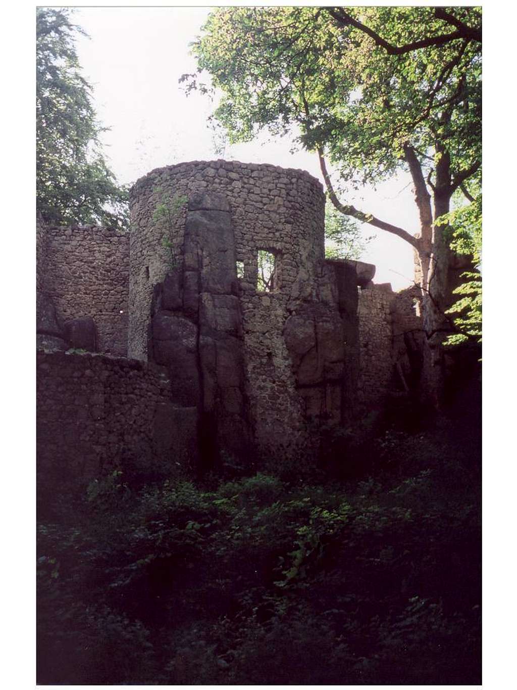 The Bolczow castle...