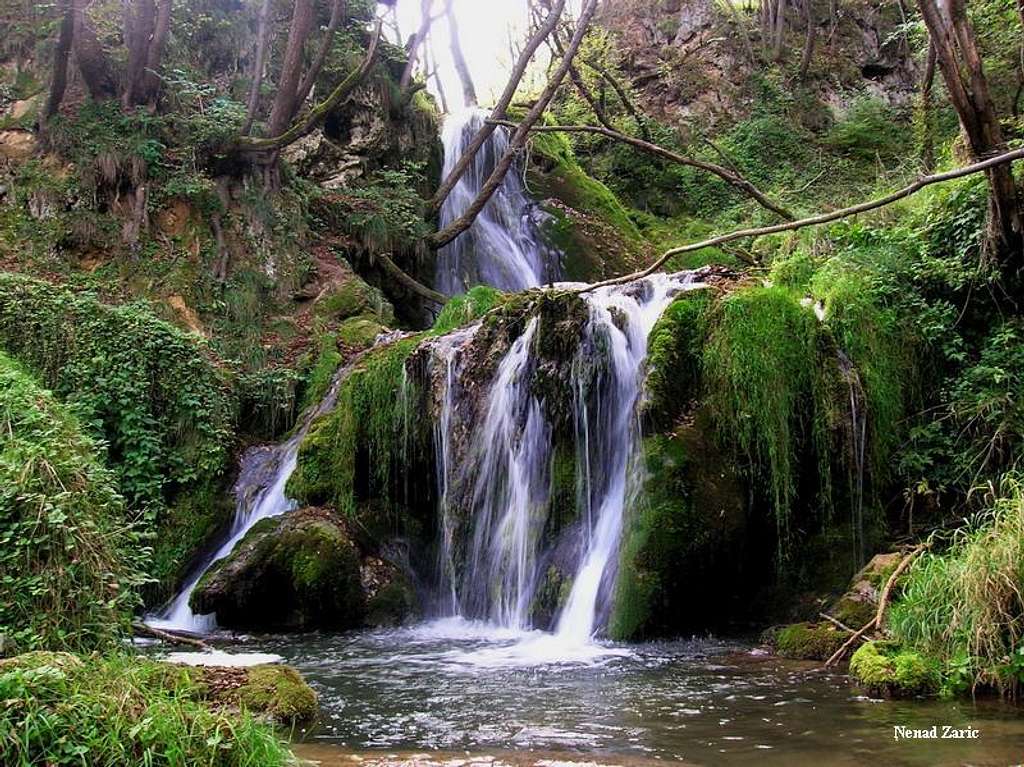 Zlatibor