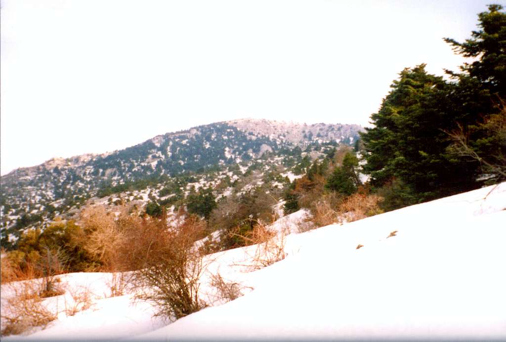 Xerovouni peak(1120m) from the path Makrixorafo-Mola