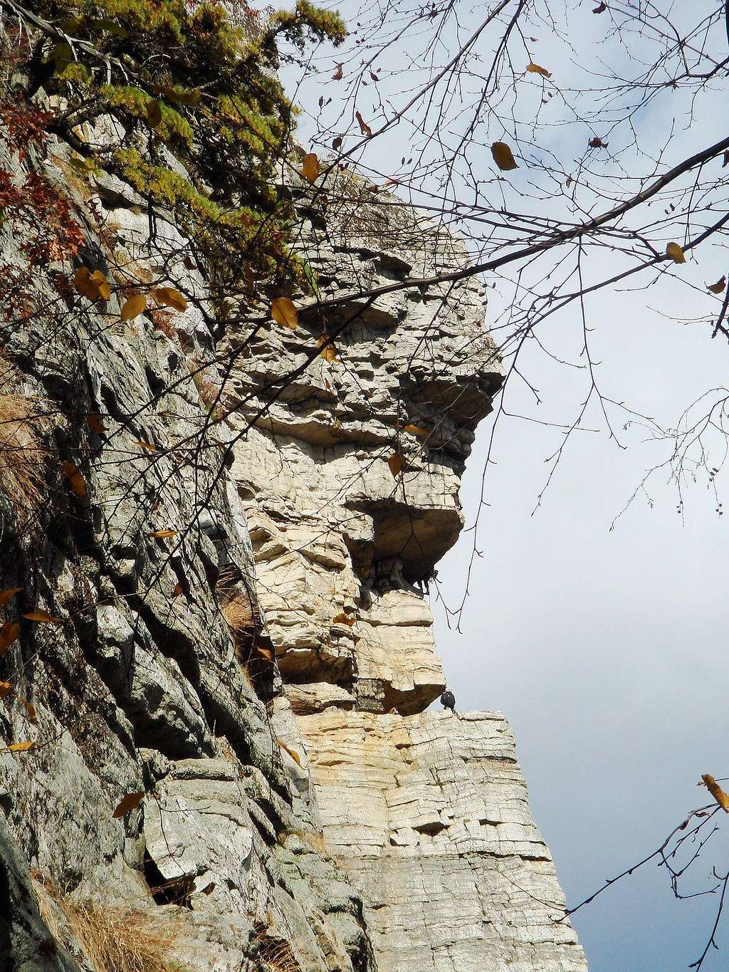 Climbing in the Shawangunk Mountains