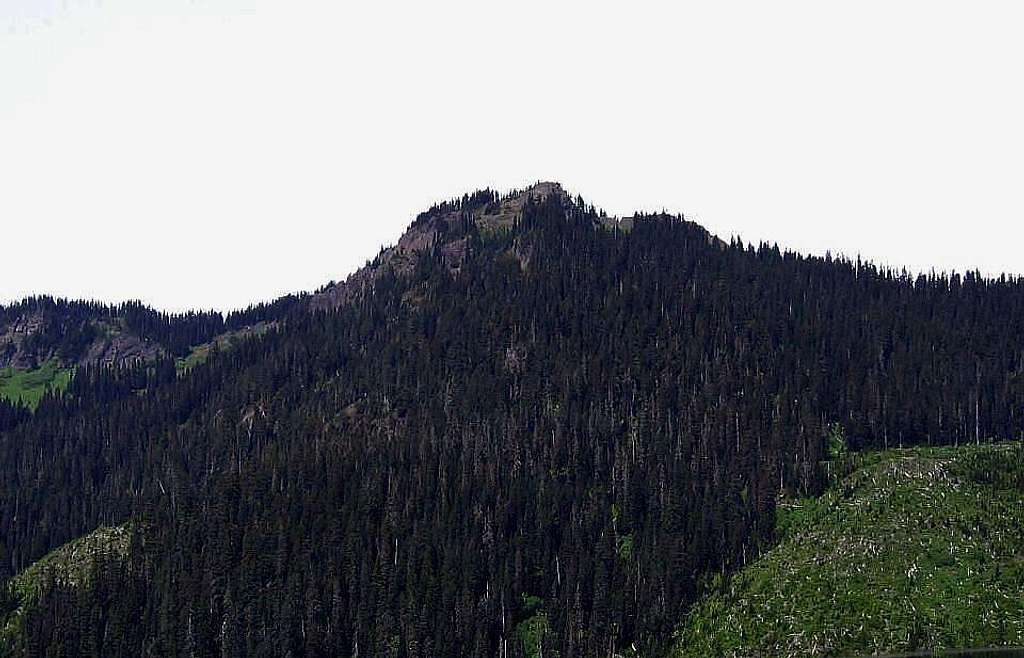 Purcell Mtn from the east