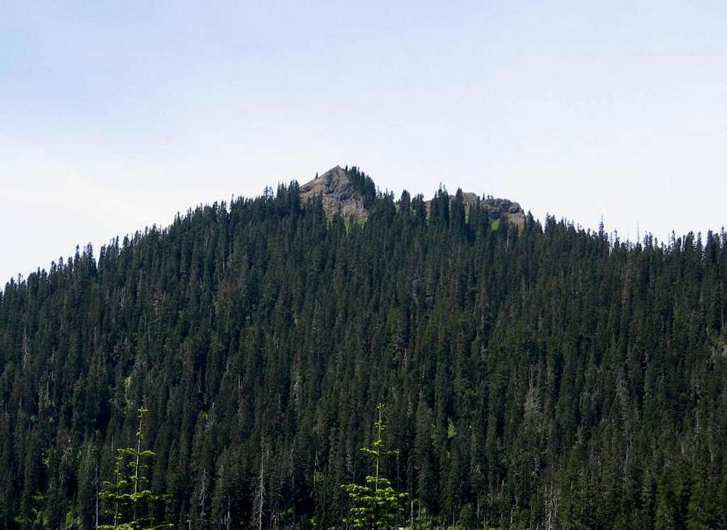 Purcell Mtn
