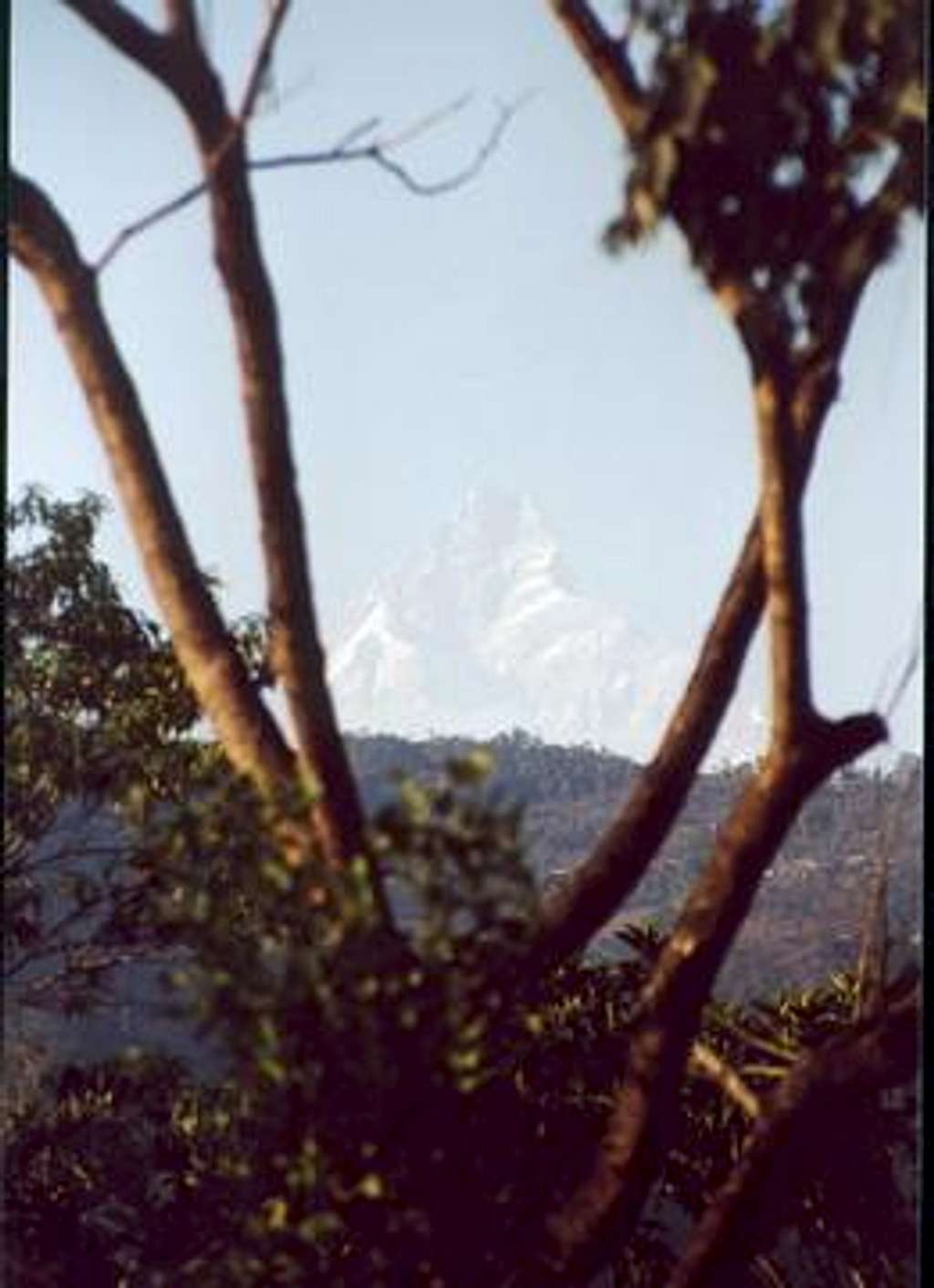 Machapuchare from Pokhara