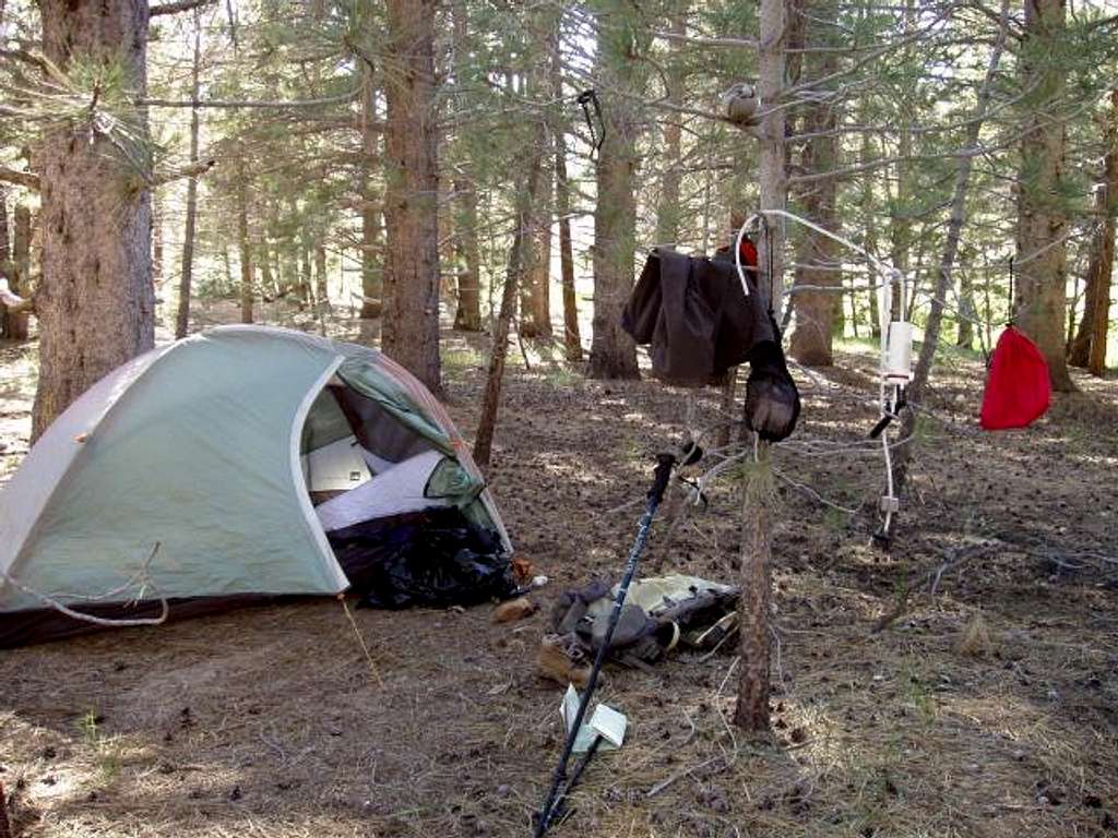 My Tent and Gear Tree