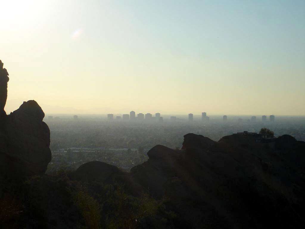 Phoenix silhouetted