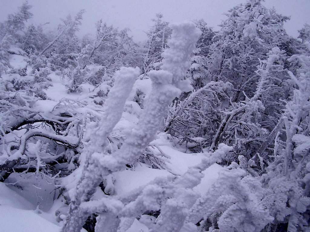 Cold day on Lion Head