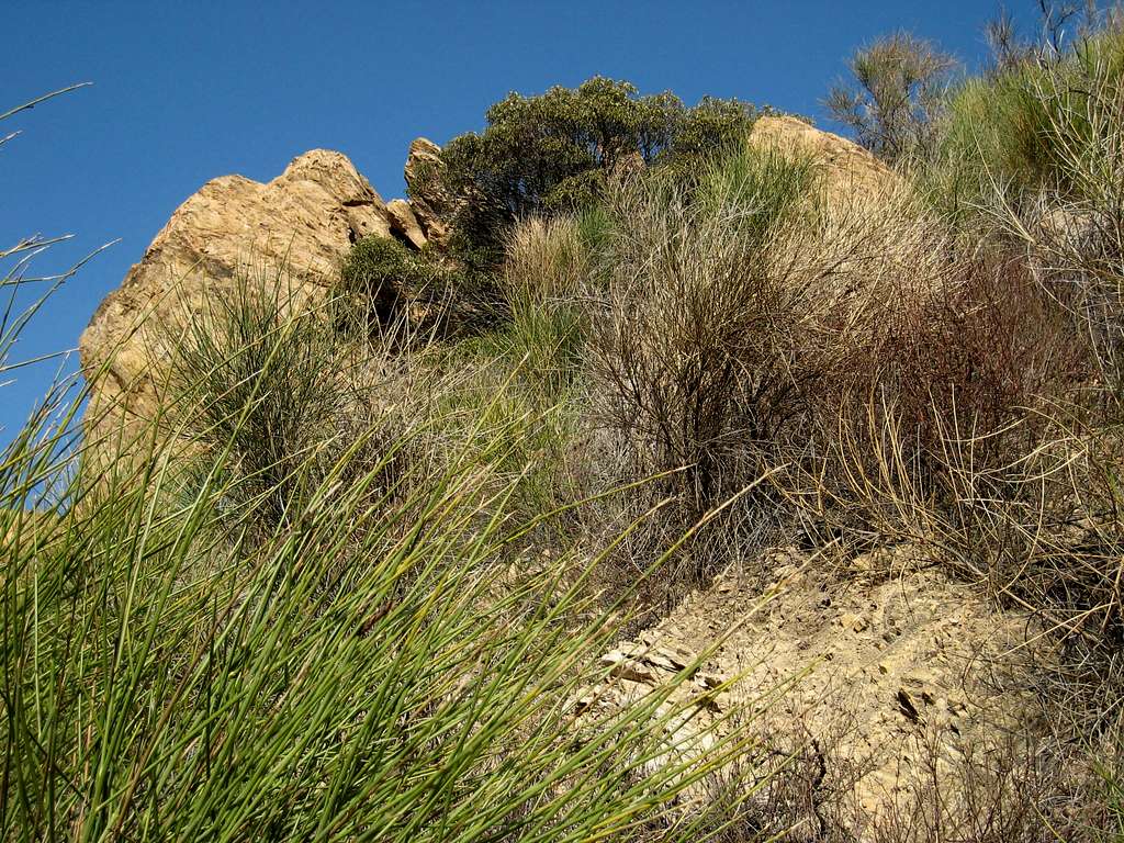 Rock Outcrop at Cape of Good Hope, San Gabriel Mountains