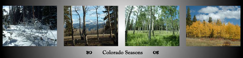 Colorado Seasons