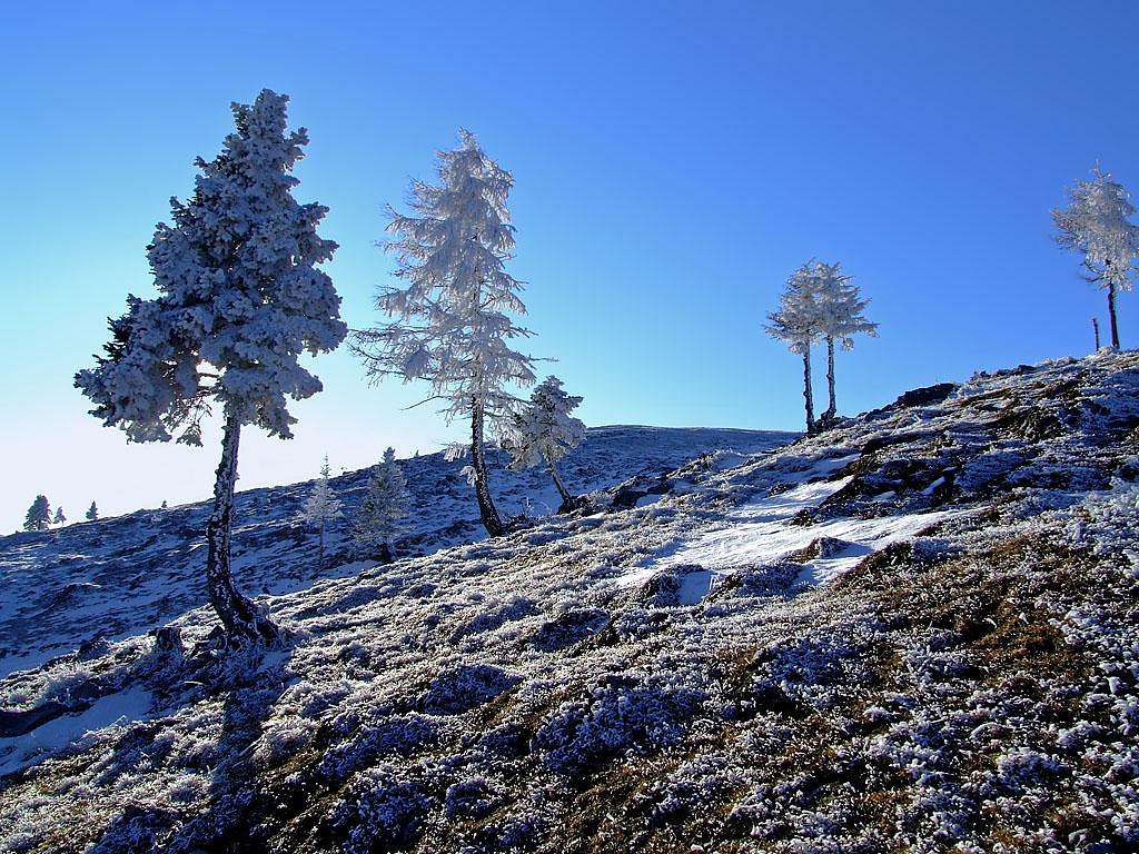 Velika planina