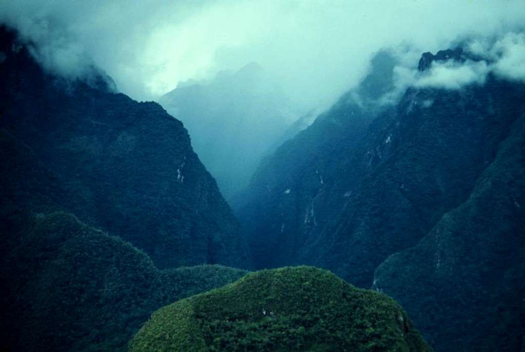 Peruvian Cloud Forest