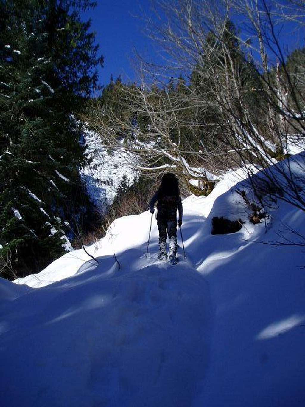 Shoeing the trail