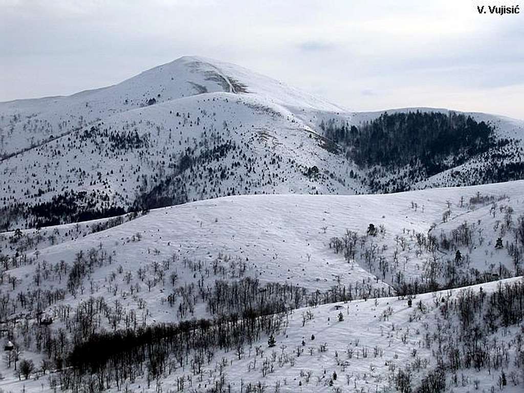 Zlatibor range