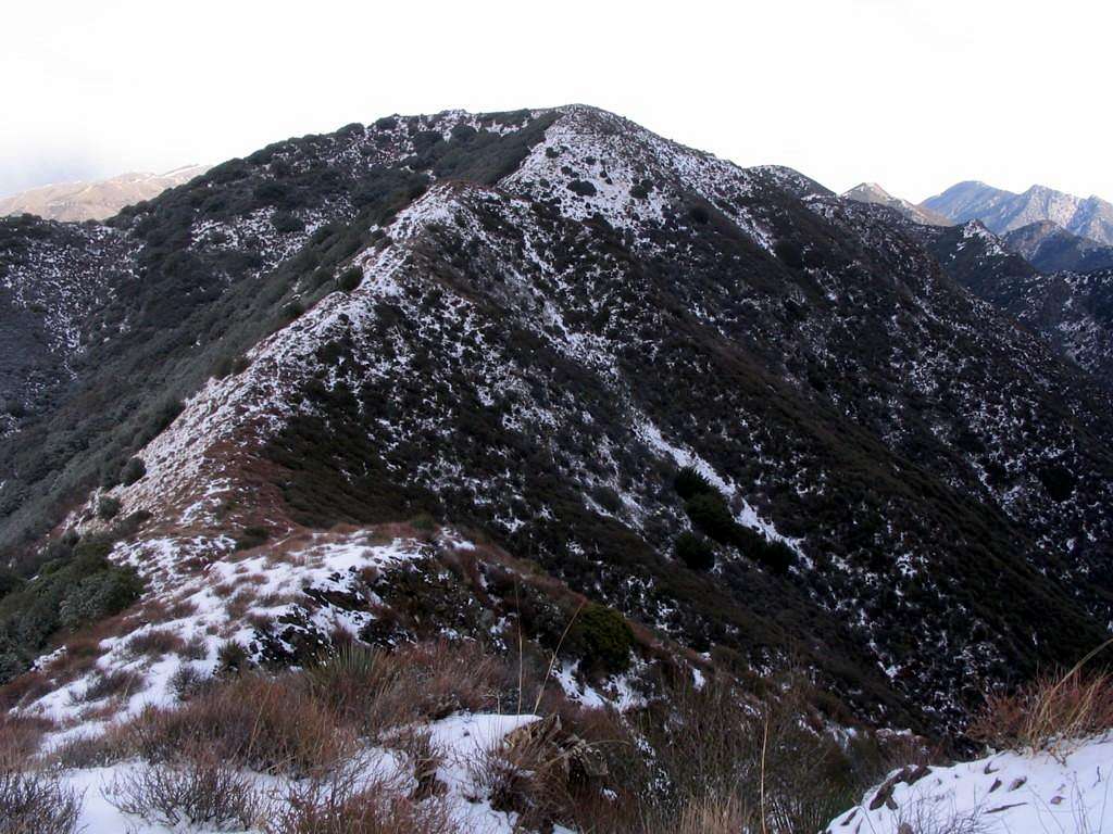 Mendenhall Peak