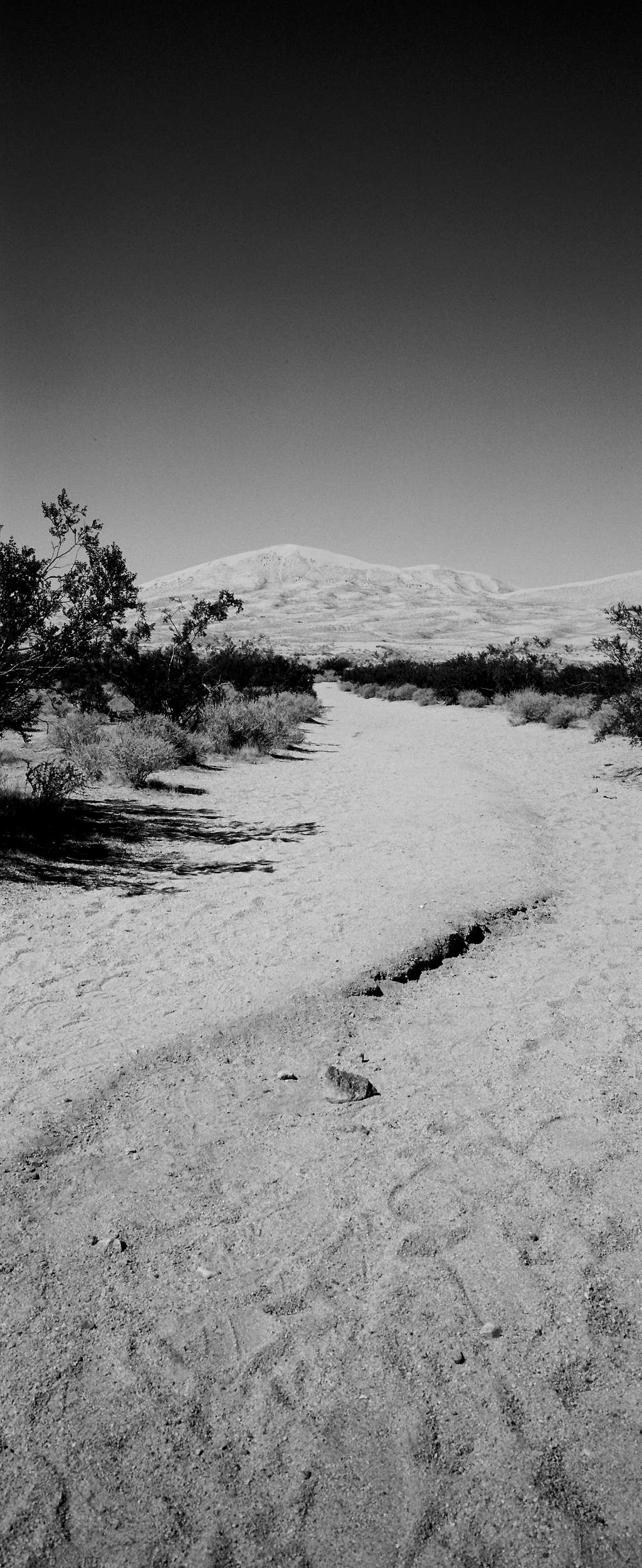 Kelso Dunes, Mojave Desert