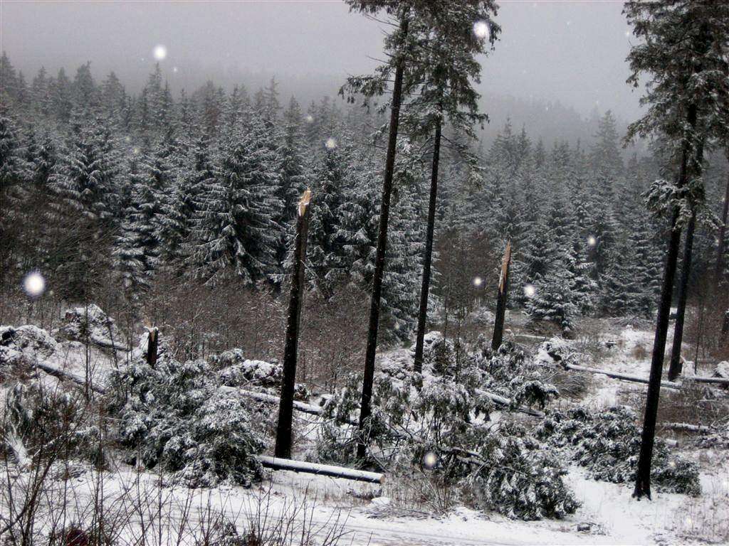 Storm and snowfall in the Harz area