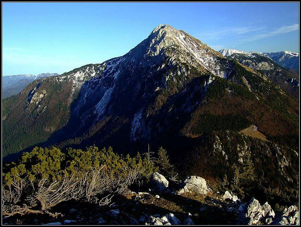 Storzic from Tolsti vrh