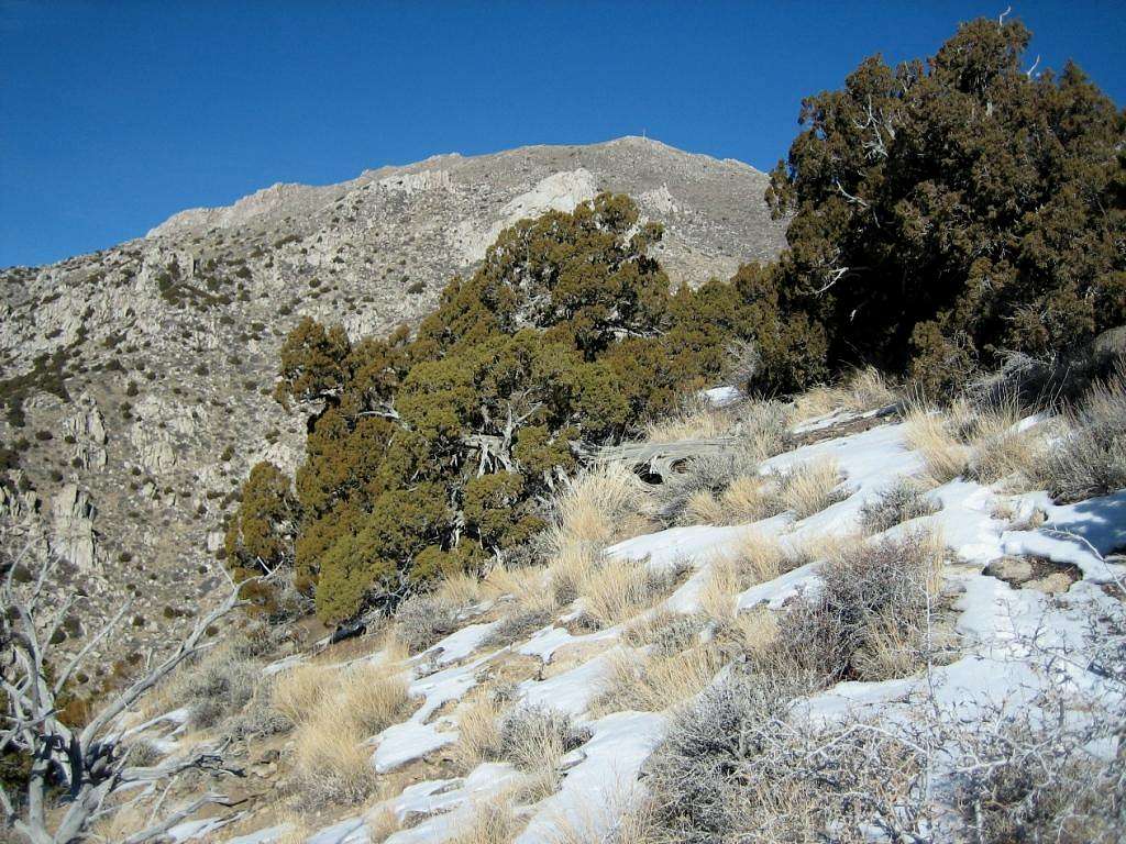 Granite Peak from the SW Ridge