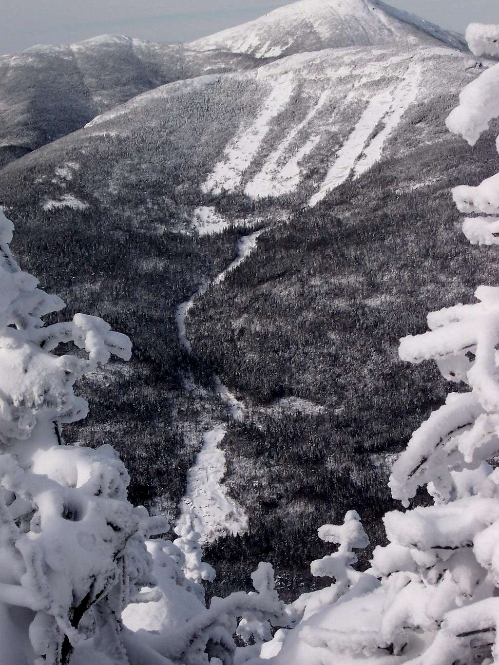 1990 Slide in Winter