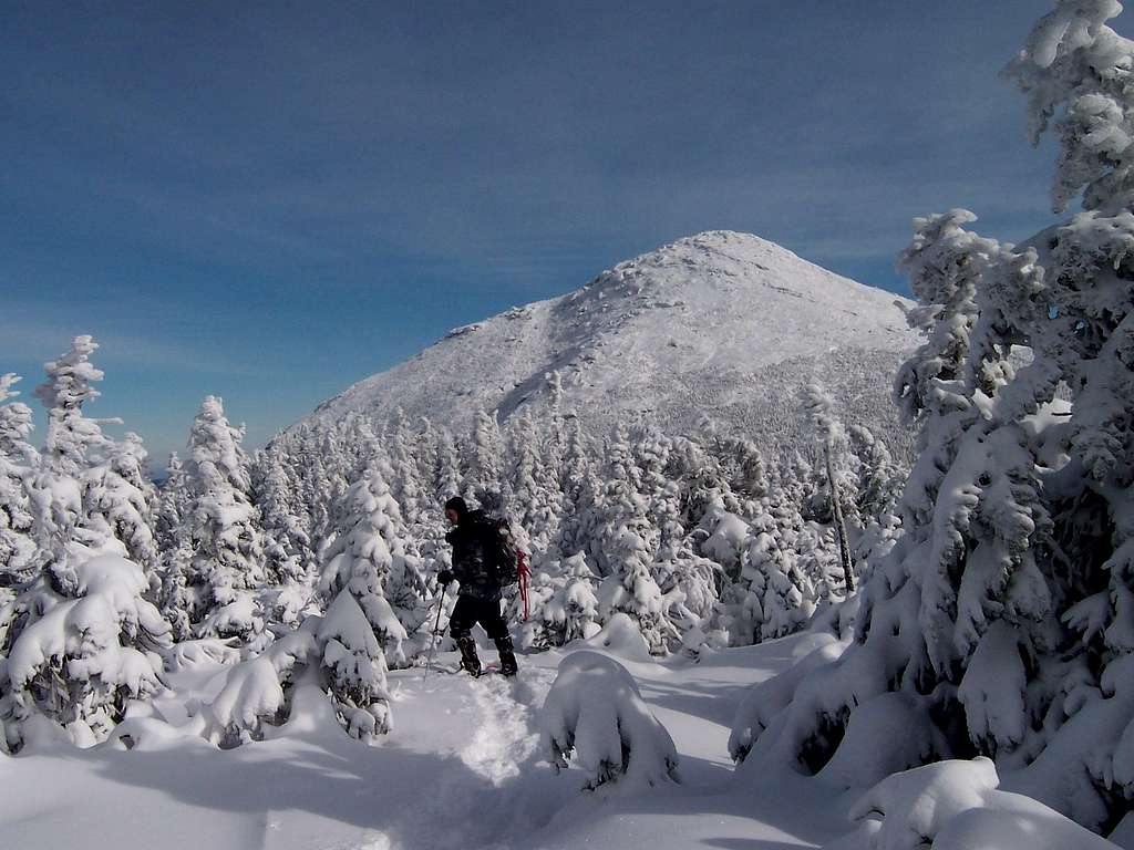Mt. Marcy from Gray
