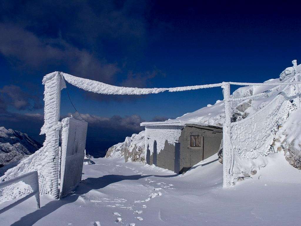 Frozen gate