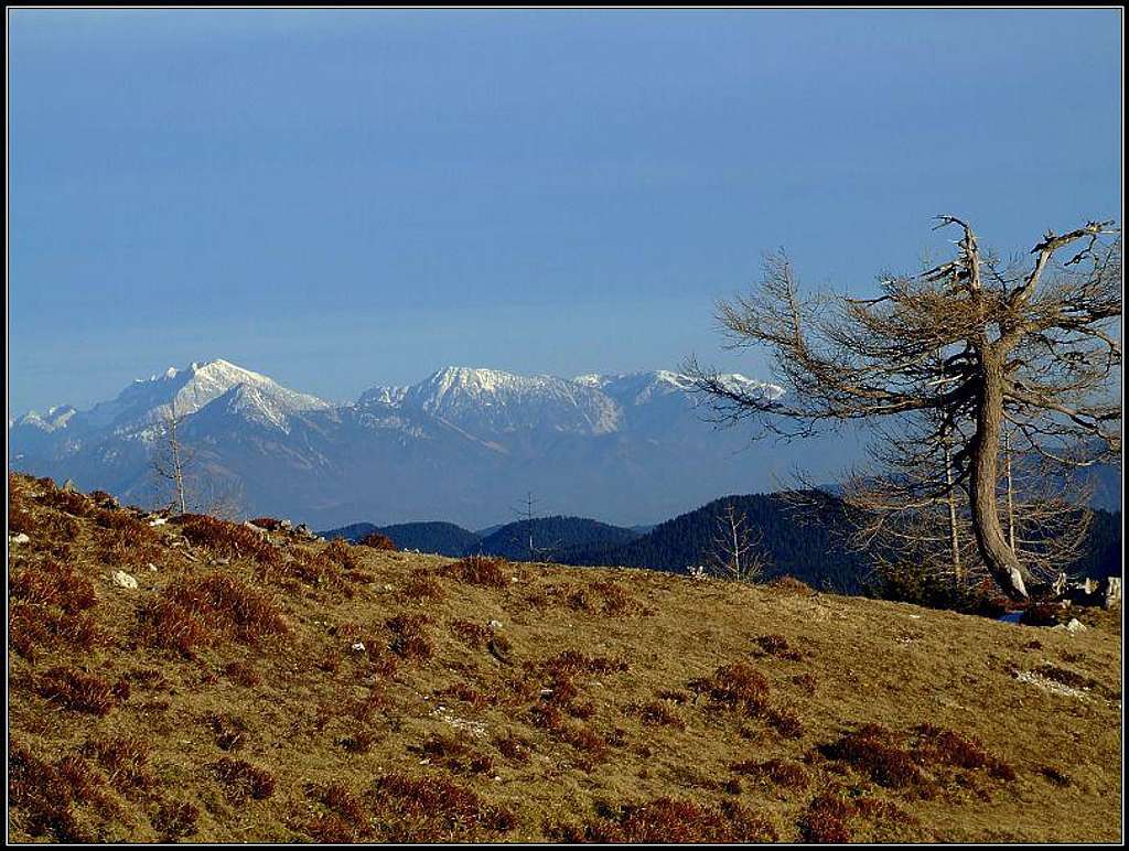 Kamnik Alps from Krstenica