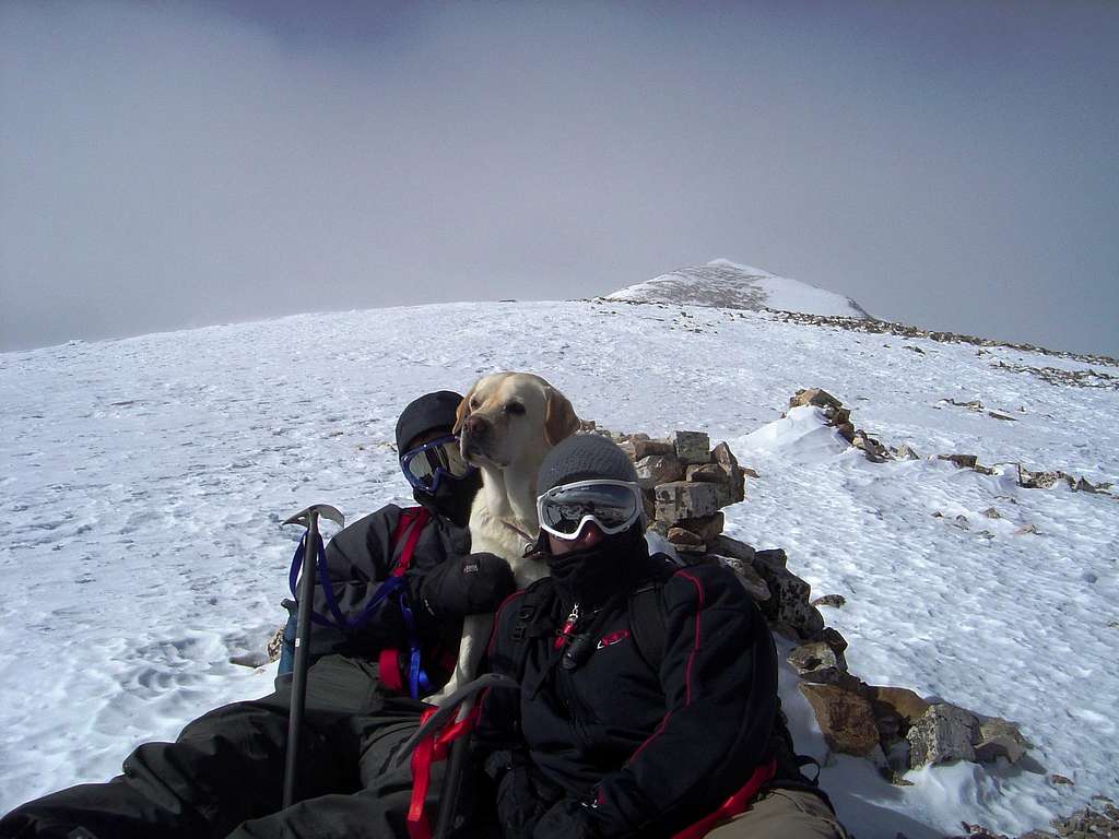 Horton, the Quandary Peak Hound