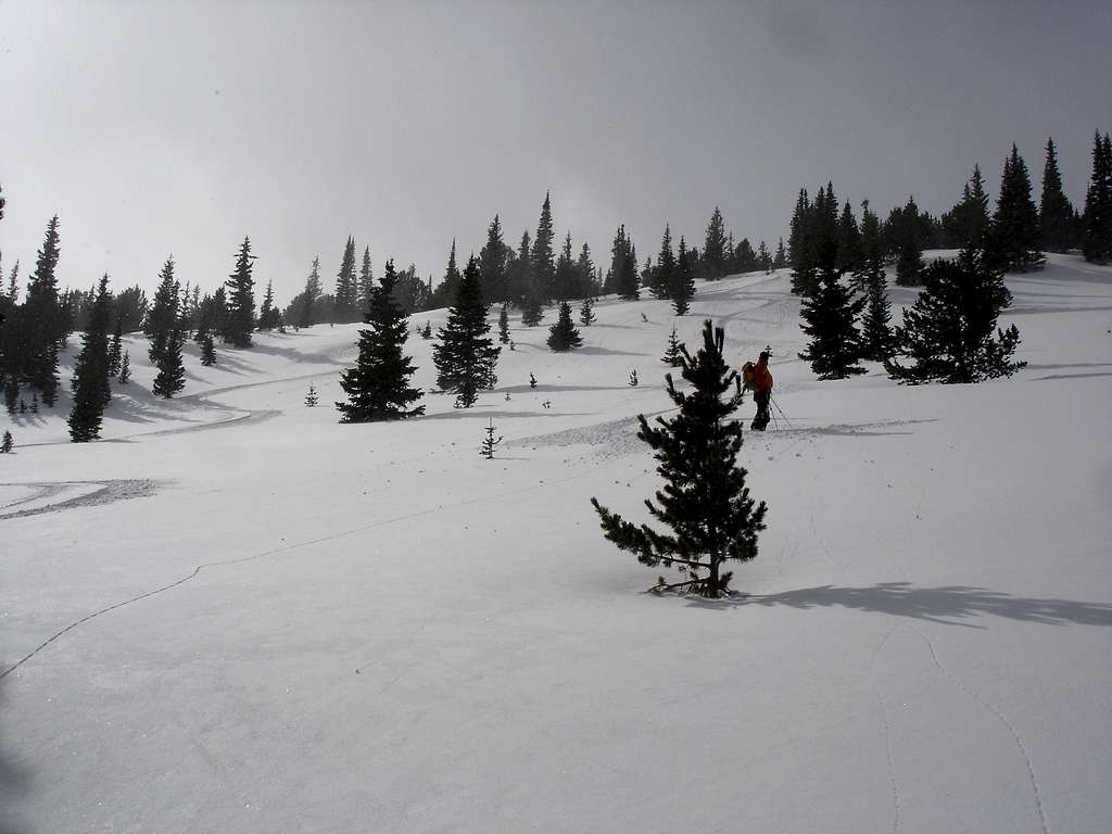 Skiing the slopes of Meadow Mtn
