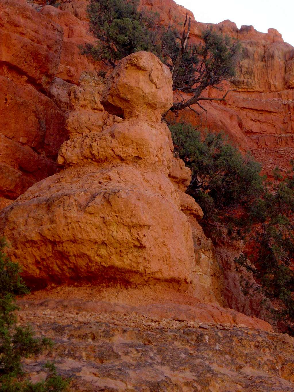 Hoodoo in Red Canyon