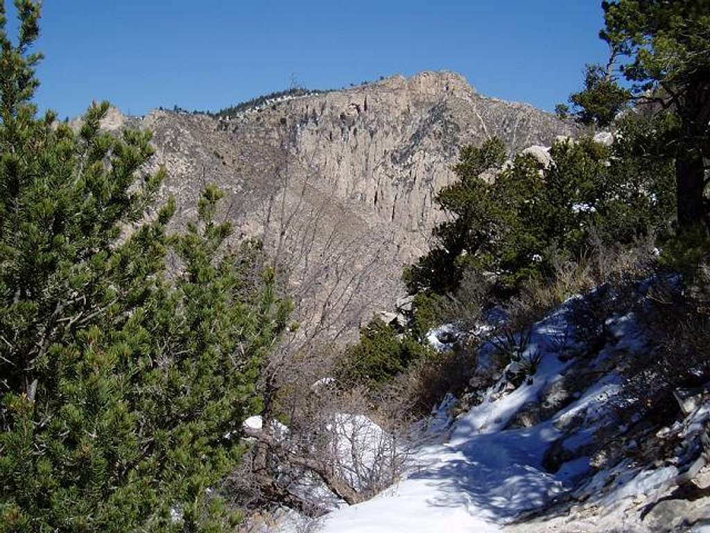 Hunter Peak from the snowy Guadalupe Trail