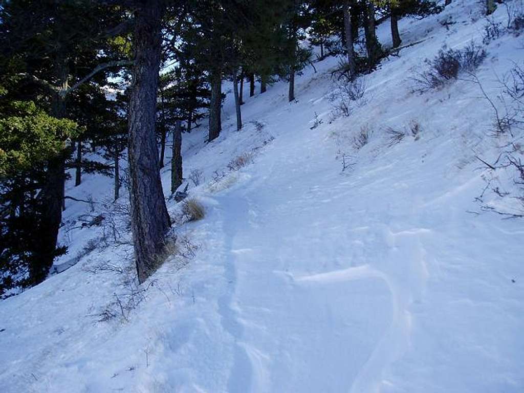 Deep drifts on the Guadalupe Peak Trail